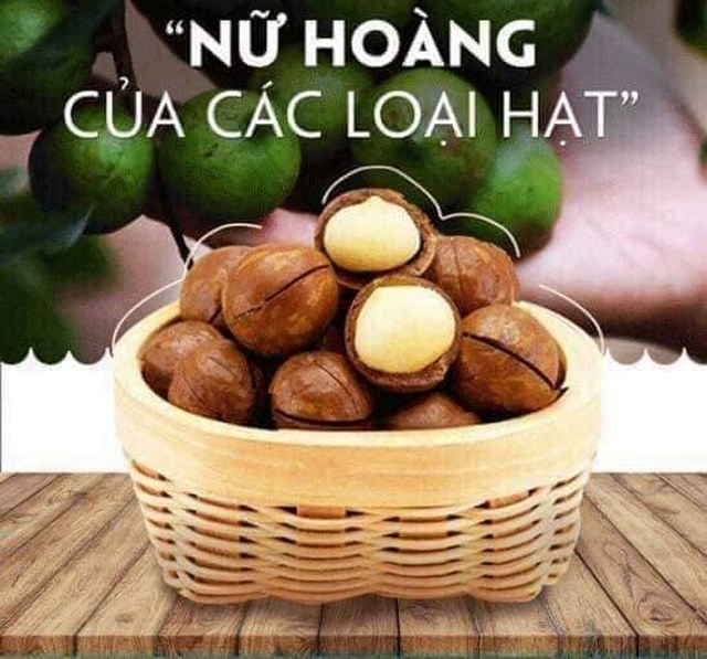 Macca nữ hoàng của các loại hạt nhiều lợi ích cho sức khỏe cùng cách chế biến đơn giản