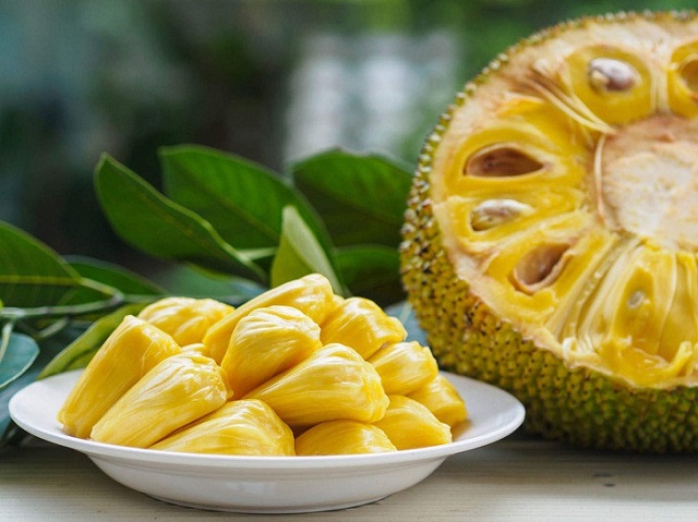 Có nhiều giống mít để bạn lựa chọn