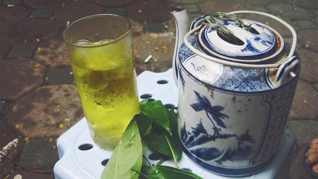 cây vối